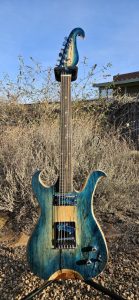 Guitar the Sloth